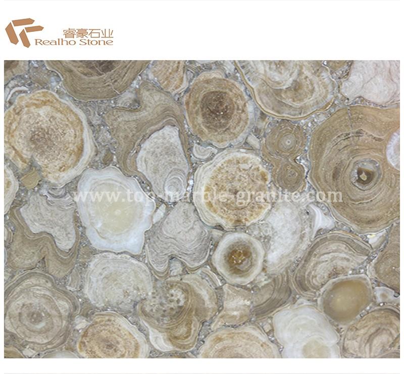 White Petrified wood stone