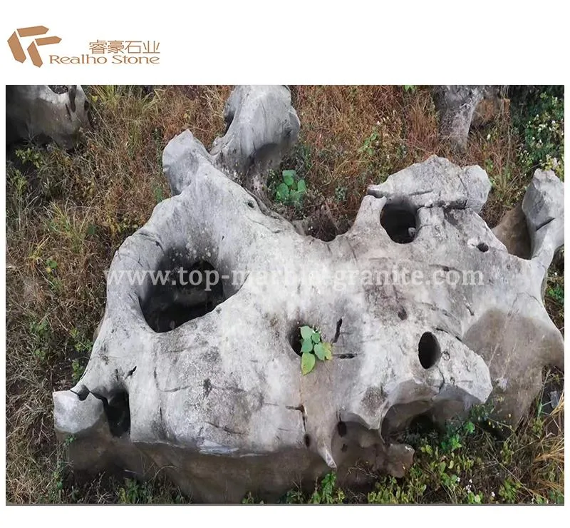 Taihu boulder stone