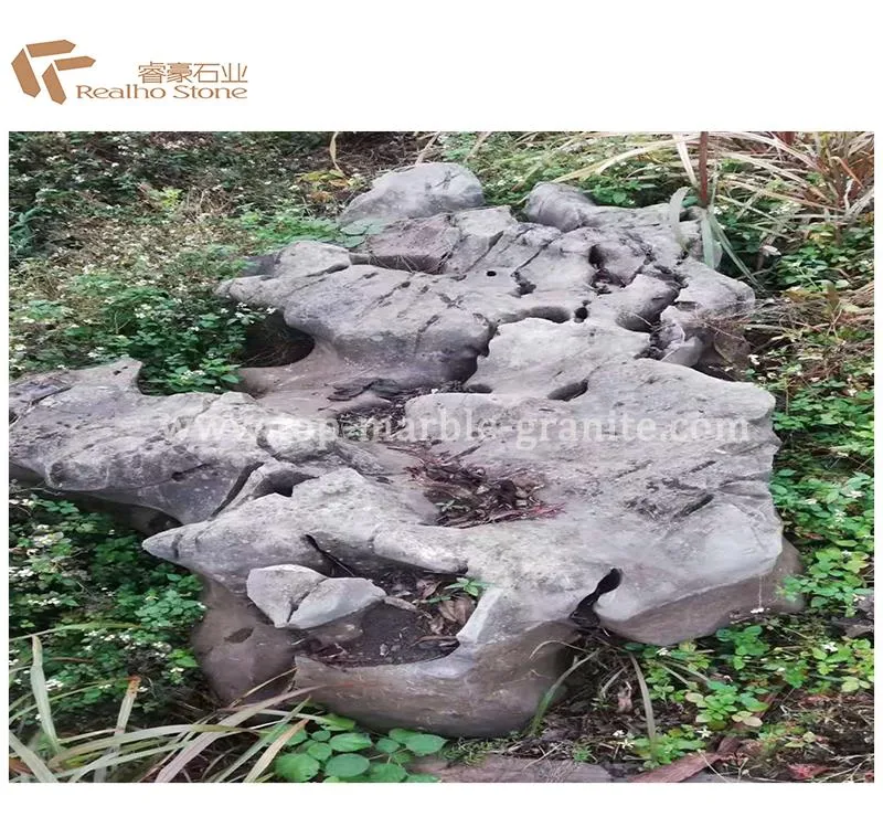 Taihu scenic stone