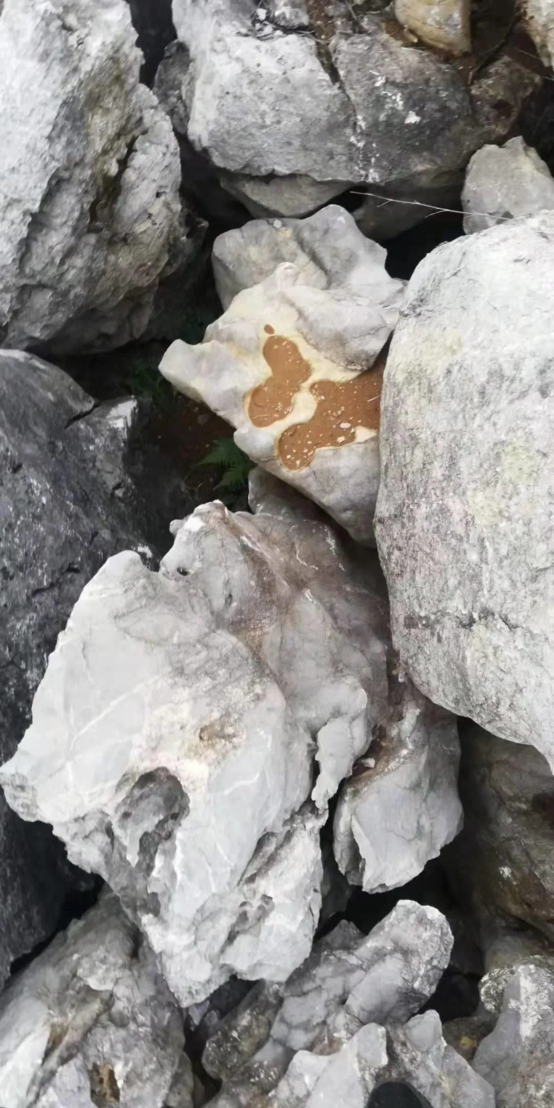微信图片_20200106100001