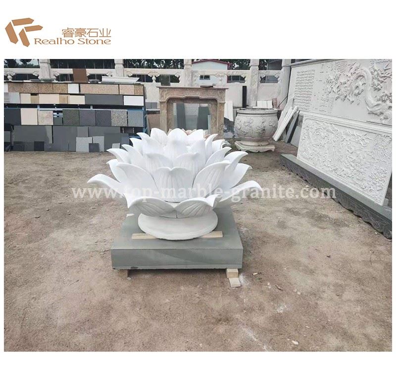 white lotus flower
