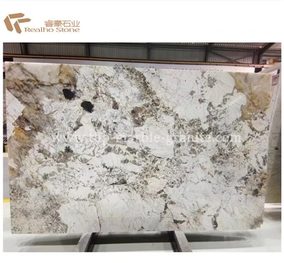 Patagonia Quartzite Slab
