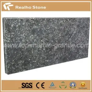 Dream Circle Black Fossil Marble Slabs And Countertops