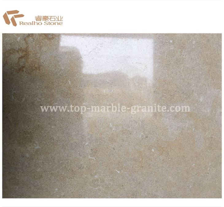 Jerusalem Antique Gold Shells Limestone Slabs