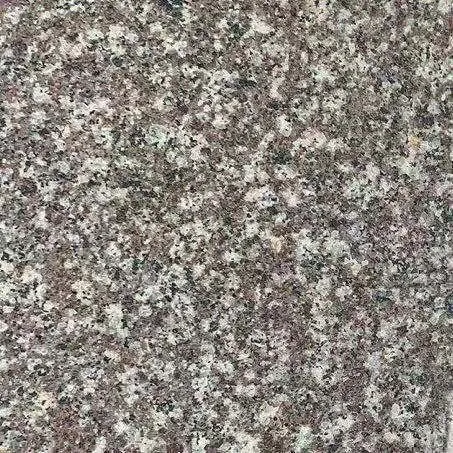G664